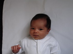 Passport 7.jpg